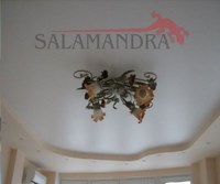 Натяжной потолок Salamandra