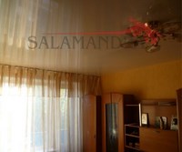 Натяжной потолок Salamandra